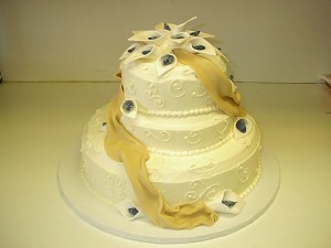 Emperior Penguin Cake